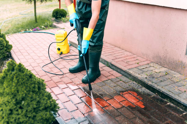 Best Soft Washing  in Morrisonville, NY